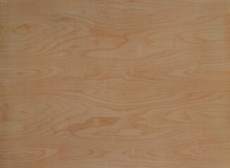 Wall Mural - Wooden Surface Texture With Detail