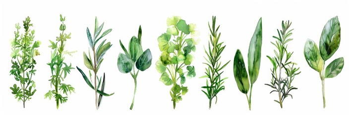 Sticker - Fresh Herbs and Spices on White Background for Cooking Recipes Generative AI