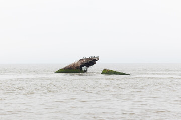 Wall Mural - This piece of battered ship lay off the coast of Sunset Beach in Cape May. Now a habitat for double-crested cormorant shorebirds, this sunken ship used to be used in World War One.