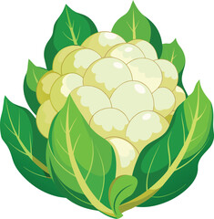 cauliflower vector logo, vegetable cauliflower cabbage vector illustration,  Organic food