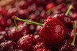 © EF Studio - Pile of fresh cherries, with focus on one cherry in the center, closeup shot, high resolution photography,
