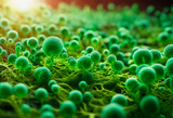 Fototapeta  - Close-up with green bacteria in 3d rendering