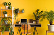 © Pixel-Shot - Interior of office with workplace, shelf unit and houseplants