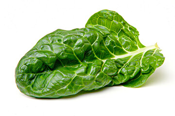 Single Leaf of Fresh Swiss Chard, A single, vibrant green leaf of Swiss chard isolated on a white background.