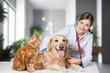 © BillionPhotos.com - Smiling vet doctor with dog pet and fluffy cat