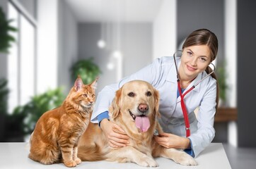 Wall Mural - Smiling vet doctor with dog pet and fluffy cat