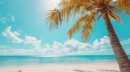 Poster - Tropical summer beach sand and beautiful sky with coconut palm tree background