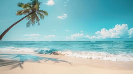 Sticker - Tropical summer beach sand and beautiful sky with coconut palm tree background