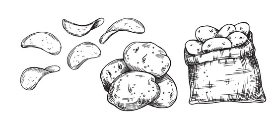 set of potatoes, potatoes in a bag, chips. vector drawing in sketch style, vintage