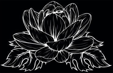 Sticker - Illustration of lotus flower in white line on black background