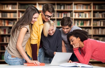 Wall Mural - Young college friends student study together