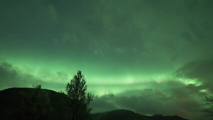 Wall Mural - Emerald green lights and flashes of Aurora borealis dominate the night sky. A Timelapse video.