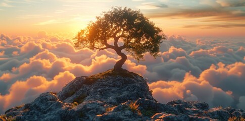 Wall Mural - tree on a rocky hill at sunset