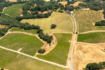 Aerial view of green rows of plants in farm fields, vineyards, and the agricultural towns of norther California