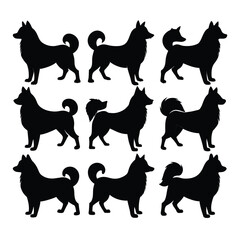 Wall Mural - Set of American Eskimo Dog black Silhouette Vector on a white background