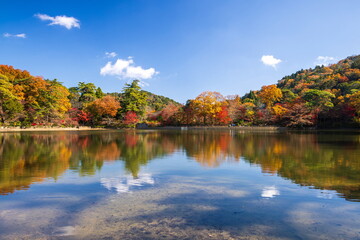 再度公園の秋　神戸市北区六甲山にて