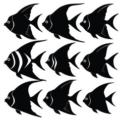 Wall Mural - Set of Angelfish black Silhouette Vector on a white background