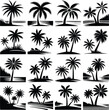 © RSDESIGN - Palm tree silhouette vector