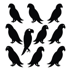 Set of Black Amazon Parrot Silhouette Vector on a white background