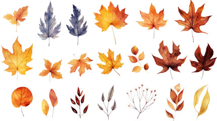 Wall Mural -  Collection of autumn-themed watercolor 