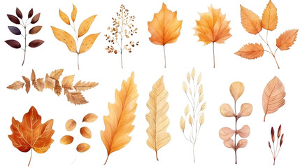 Poster -  Collection of autumn-themed watercolor 