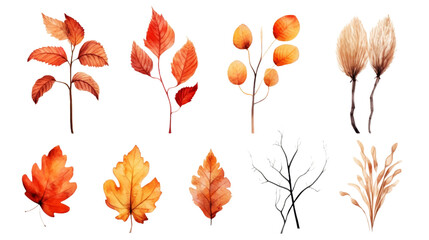 Wall Mural -  Collection of autumn-themed watercolor 