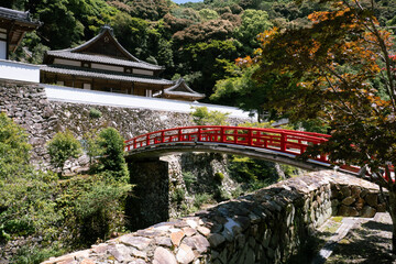 Wall Mural - 瀧安寺