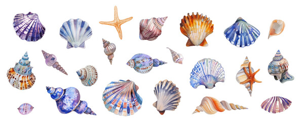 Wall Mural - Set of watercolor seashells on isolated background. Various sea shells png. Watercolor elements of the sea beach. Vector illustration