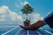 © Neha - a businessman's hand with money plant and coins on solar panels.