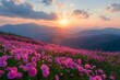 © D - Scenic Mountain Sunset over Flower Field Panorama - Perfect for Nature Print Designs