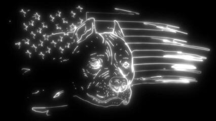 Sticker - white silhouette of Head pitbull with american flag in neon style