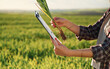 © standret - Side view. With notepad and plant. Young woman is on the beautiful agricultural field at daytime