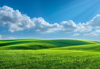 a field of green grass under a cloudy blue sky