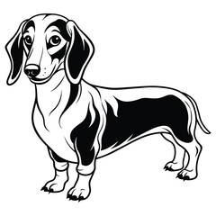 dachshund dog silhouette vector illustration on white-background