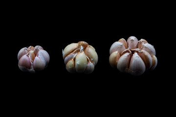 Wall Mural - Garlic on a black background