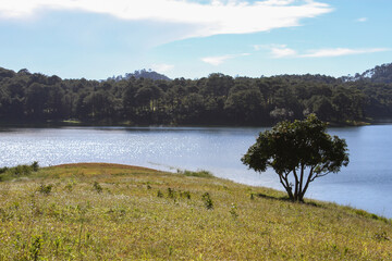 Beautiful Nature Landscape Of Tuyen Lam Lake In Da Lat, Vietnam.