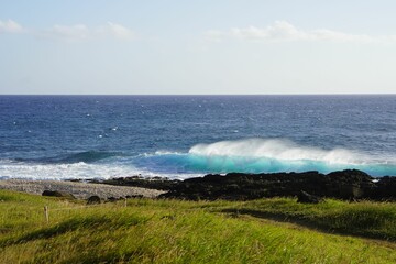 Wall Mural - Scenic landscape featuring lush green grass and a serene ocean shoreline with rolling waves