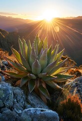 Poster - Stunning mountain landscape with vibrant succulent plant in foreground