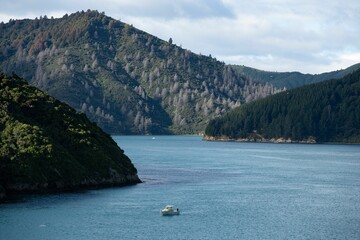 Wall Mural - a boat floating near mountains and water with a forest on the bank