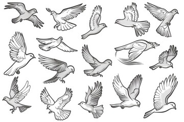 Canvas Print - A group of birds soaring in the sky. Ideal for nature and wildlife concepts