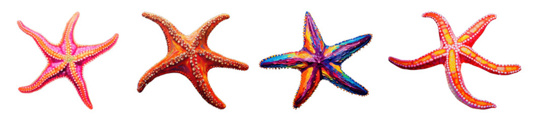 Wall Mural - Black light oil painting starfish png element set on transparent background