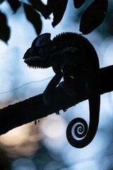 Sticker - A chameleon sitting on a tree branch, suitable for nature and wildlife concepts