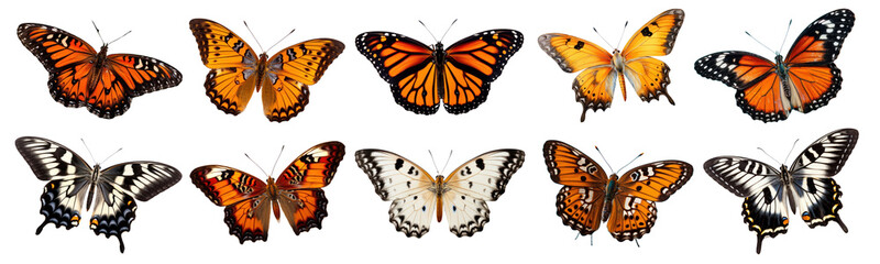 Poster - Butterflies png element set on transparent background