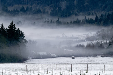 Wall Mural - Farmers fields in the winter on Salt Spring Island, BC Canada