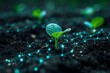 © Tackey - Futuristic concept of digital technology in agriculture with a young plant in soil connected by glowing network lines
