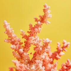 Wall Mural - pink sea corals.