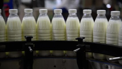 Wall Mural - Factory producing milk or yogurt in to plastic bottles on conveyor line. Equipment at dairy plant. Filling milk. Selective focus complete milk bottling line	