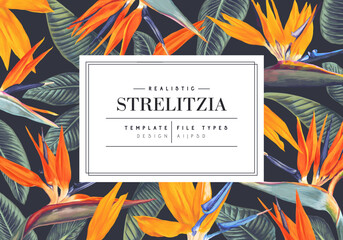 Wall Mural - Bright Strelitzia flowers on a dark background in a template for cards, wedding invitations, place for your text, advertising, social media posts. Tropical themed layout with realistic flowers