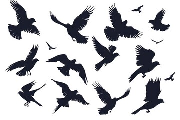 Poster - A flock of birds flying in the air, suitable for nature and wildlife themes