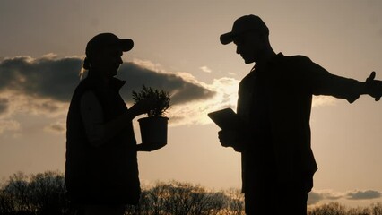 Wall Mural - In the field, silhouettes of two farmers, one carrying a seedling and the other a tablet, are seen working.